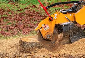 Best Tree Mulching  in Washington, NJ
