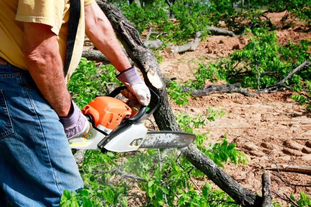 Best Commercial Tree Services  in Washington, NJ